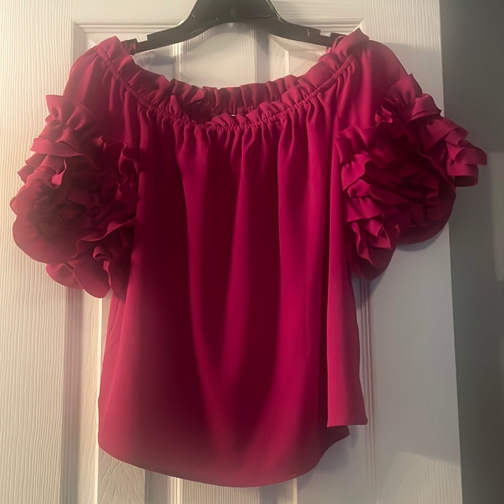 Beautiful dark pink top with ruffled sleeves.